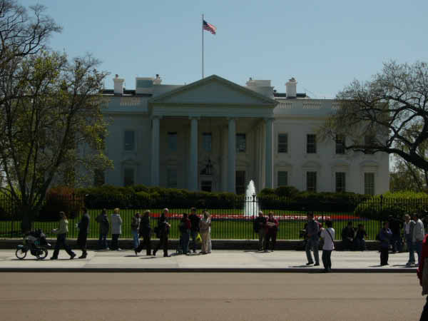 P1010431