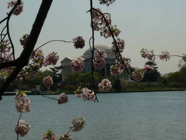 P1010464