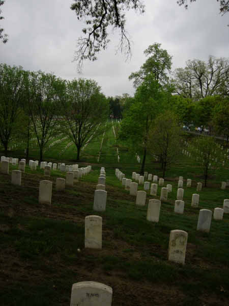 P1010542