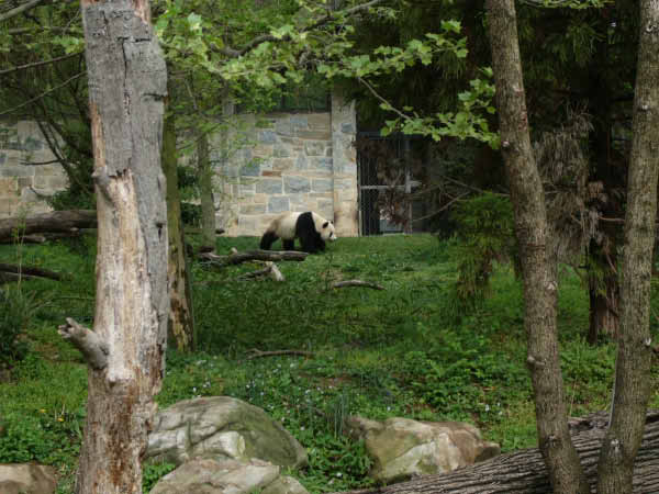 P1010571